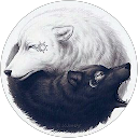 Jordi Portet profile picture