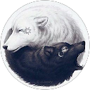 Jordi Portet profile picture